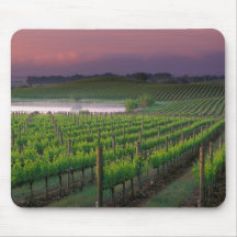 Sunrise colour in the distant fog behind mousepad