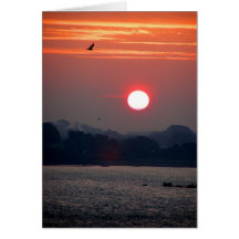 Sunrise in Guernsey Cards
