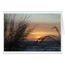Sunrise, Ocean City MD. Cards