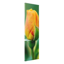 Sunrise Rose: Yellow, Orange, and Red canvas prints