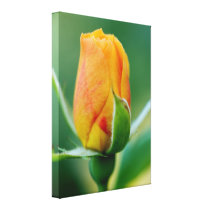 Sunrise Rose: Yellow, Orange, and Red canvas prints
