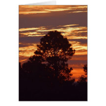Sunrises Mornings Card