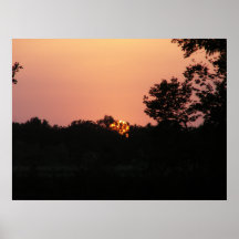 Sunset 59 posters