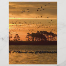 Sunset at Chincoteague Wildlife Refuge Virginia Flyer