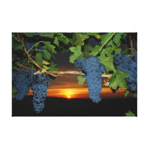 sunset at mission hills vineyard gallery wrapped canvas