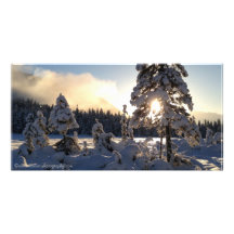 Sunset at Moose Meadows Customized Photo Card