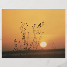 Sunset at Tewaukon National Wildlife Refuge Custom Flyer