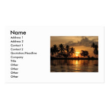 Sunset Business Card