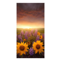 Sunset Daisies Personalized Photo Card