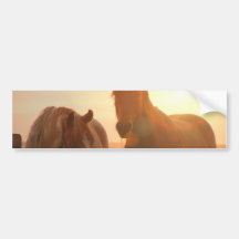 Sunset Horses  Bumper Sticker