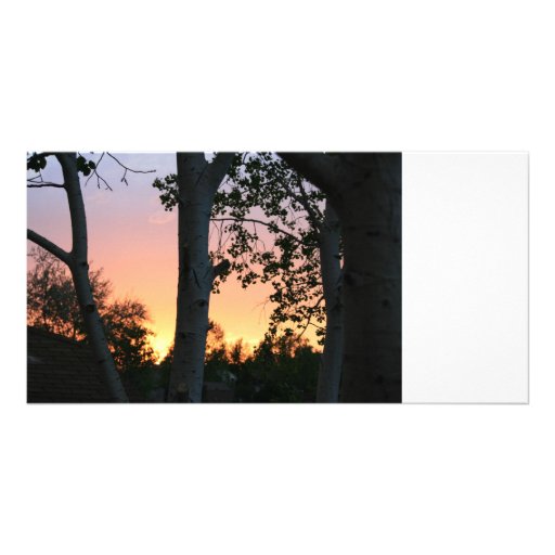 Sunset in the Trees Photo Cards