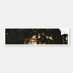 Sunset in the Woods Bumper Stickers