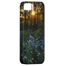 Sunset iPhone 5 Covers