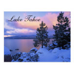 Sunset Lake Tahoe Nevada  Postcard