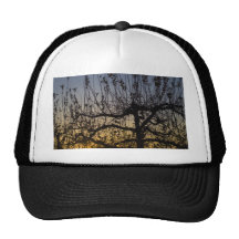 Sunset On Apple Trees Mesh Hat