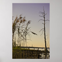 Sunset on Louisiana Swamps Poster