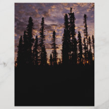 Sunset on the Innoko National Wildlife Refuge Custom Flyer