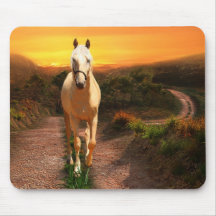 Sunset palomino mouse pads