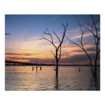 Sunset Photo