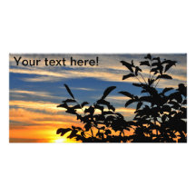 Sunset Photo Cards