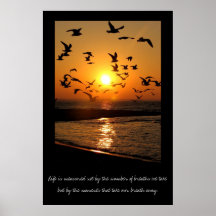 Sunset poster