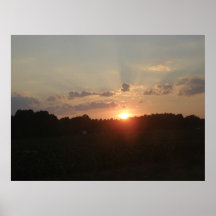Sunset Poster