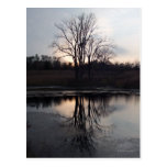 Sunset Reflections Photo Postcard