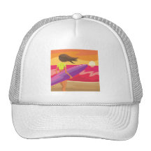 Sunset surfer hats