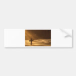 sunset surfers bumper stickers