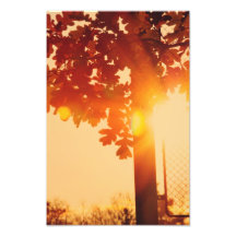 Sunset tree photo art