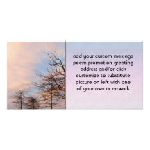 Sunset Trees In Winter Photo Cards