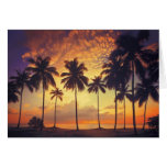 Sunsetpalm Greeting Cards