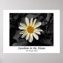 Sunshine in the Alamo (San Antonio, Texas) Poster