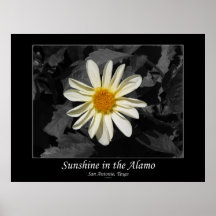 Sunshine in the Alamo (San Antonio, Texas) Poster