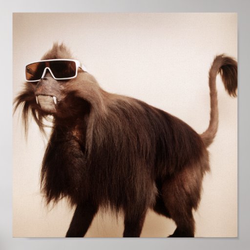 sunshine monkey posters