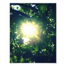 Sunspot Photograph