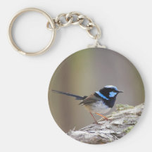 Superb Fairy-wren Keychains