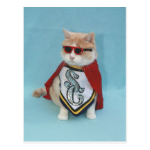 Superhero Bubba Post Card