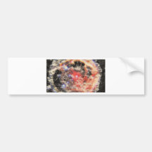 Supernova Remnant Bumper Sticker
