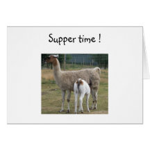 Suppertime Cards