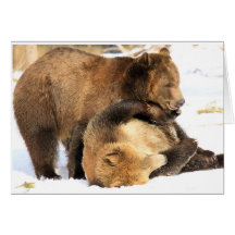 Support Greeting Cards