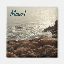 Surf Comes Ashore Magnets