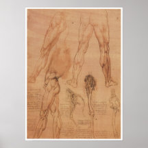 Surface Anatomy of the Lower Extremity, Da Vinci Posters