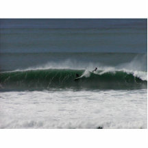 surfing photo sculptures