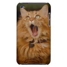 Surprise iPod Case-Mate Case