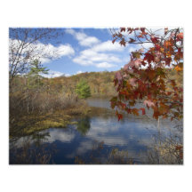 Surprise Lake Art Photo