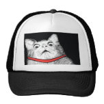 Surprised Cat Gasp Meme - Hat