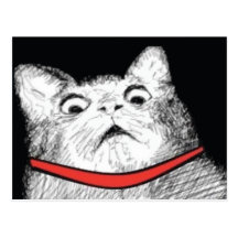Surprised Cat Gasp Meme - Postcard