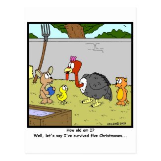 Surviving Christmas! Post Card