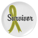 Survivor 17 Sarcoma Party Plate